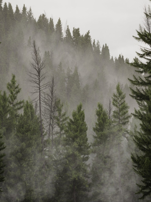 HeliosEnvironment vol13 Fog Decals