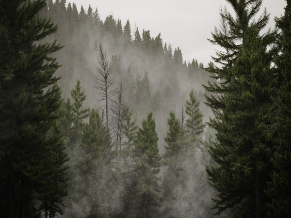 HeliosEnvironment vol13 Fog Decals