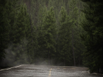 HeliosEnvironment vol13 Fog Decals