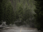 HeliosEnvironment vol13 Fog Decals