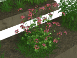 Herbage R2