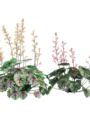 heuchera-coral-bellls-3d-model-max-fbx-mat