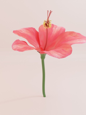 hibiscus-textured-3d-model-00c14c4b97