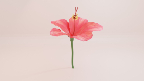 Hibiscus Textured