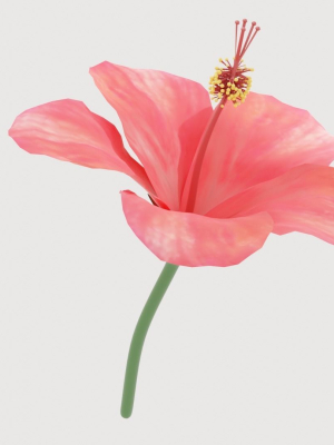 Hibiscus Textured