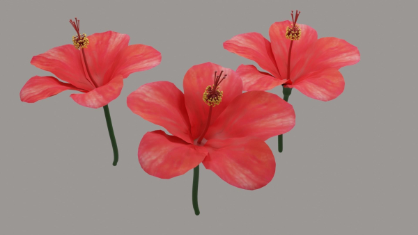 Hibiscus Textured