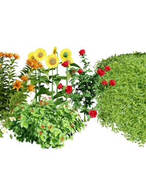 High-Detail Garden Plant Collection