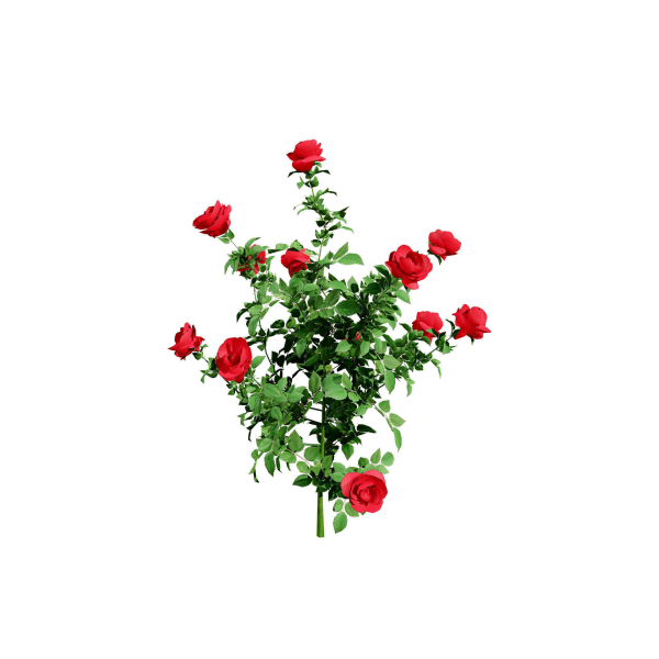 High-Detail Garden Plant Collection