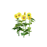 High-Detail Garden Plant Collection