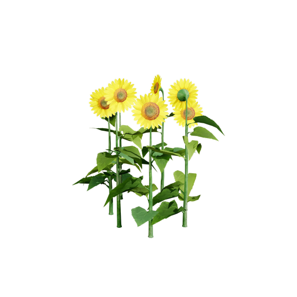High-Detail Garden Plant Collection