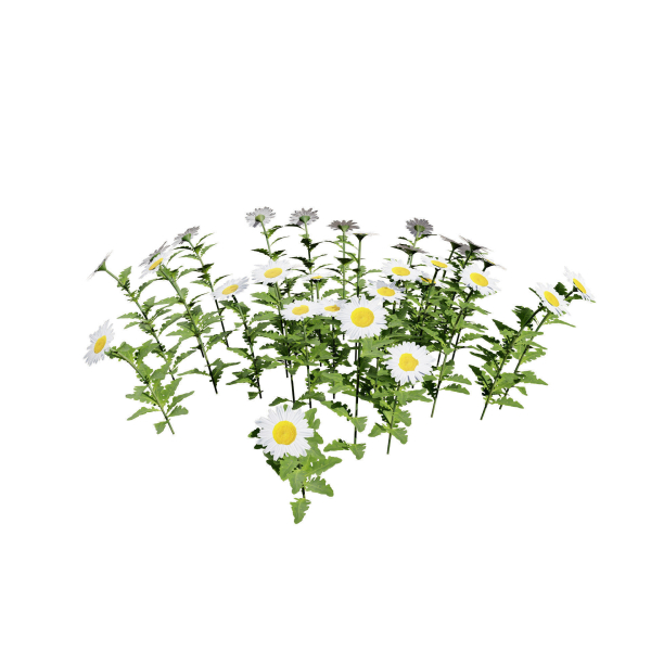 High-Detail Garden Plant Collection