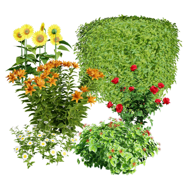High-Detail Garden Plant Collection