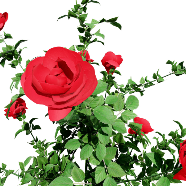 High-Detail Garden Plant Collection