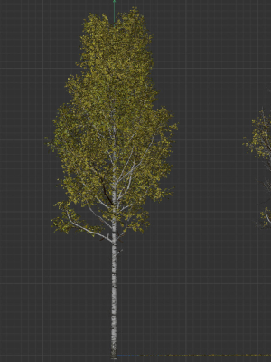 high-quality-aspen-tree-01-3d-model-0e0054c7a0