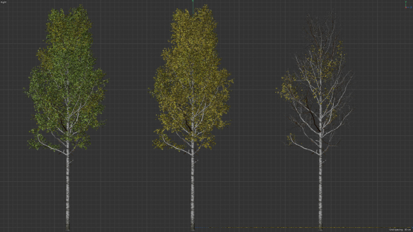 High quality Aspen tree 01