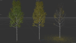 High quality Aspen tree 01