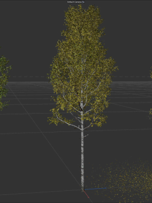 High quality Aspen tree 01