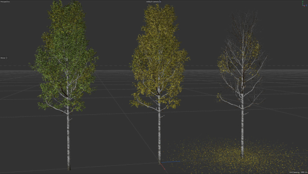 High quality Aspen tree 01