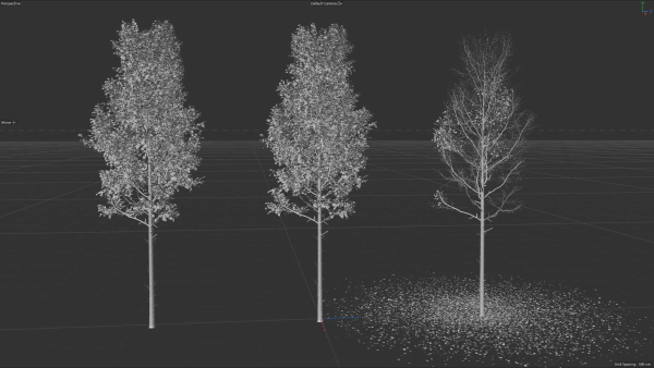 High quality Aspen tree 01