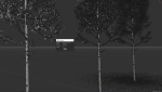 High quality Aspen tree 01