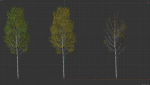 High quality Aspen tree 01