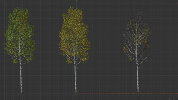 High quality Aspen tree 01