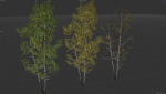 High quality Aspen tree 02