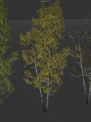 high-quality-aspen-tree-02-3d-model-7c0b7758fe