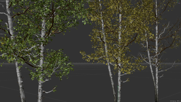 High quality Aspen tree 02