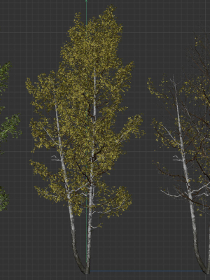 High quality Aspen tree 02