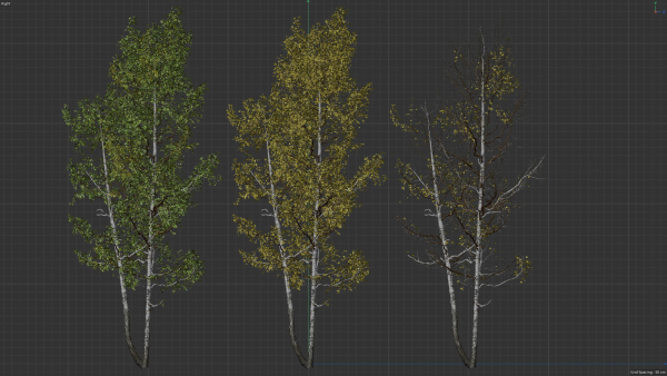 High quality Aspen tree 02