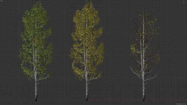 High quality Aspen tree 02