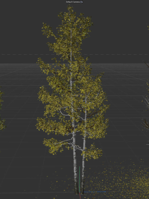 High quality Aspen tree 03