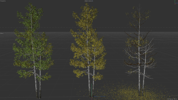 High quality Aspen tree 03