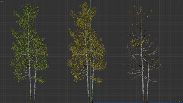 High quality Aspen tree 03