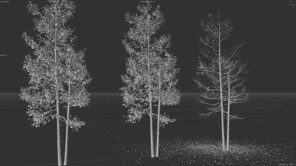 High quality Aspen tree 03