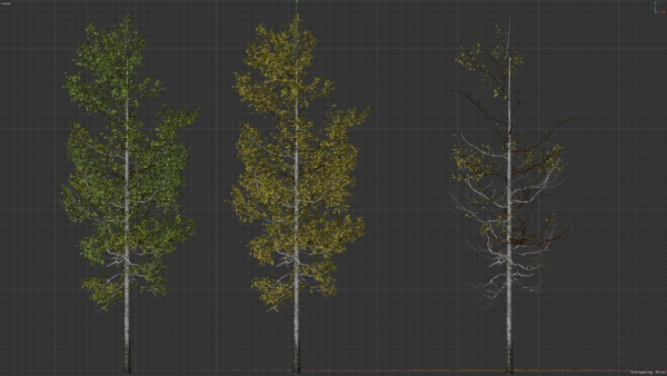 High quality Aspen tree 03