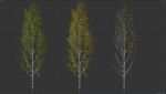 High quality Aspen tree 04