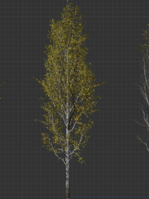 high-quality-aspen-tree-04-3d-model-101ed77dbb