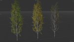 High quality Aspen tree 04
