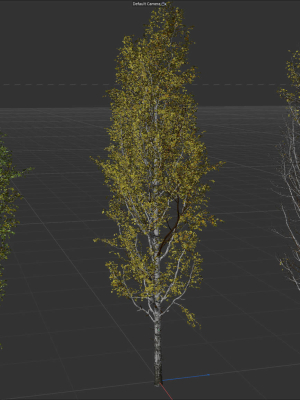 High quality Aspen tree 04