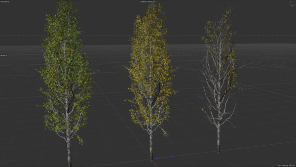 High quality Aspen tree 04