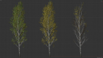 High quality Aspen tree 04