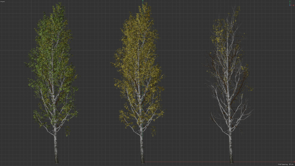 High quality Aspen tree 04