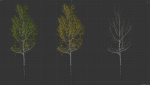 High quality Aspen tree 05