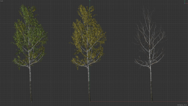 High quality Aspen tree 05