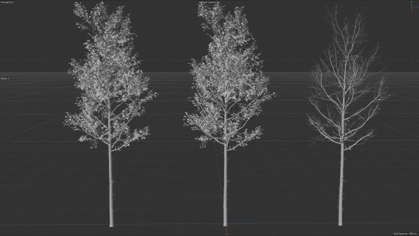 High quality Aspen tree 05