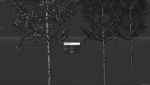 High quality Aspen tree 05