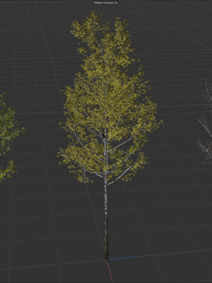 high-quality-aspen-tree-05-3d-model-f701dd3a3a