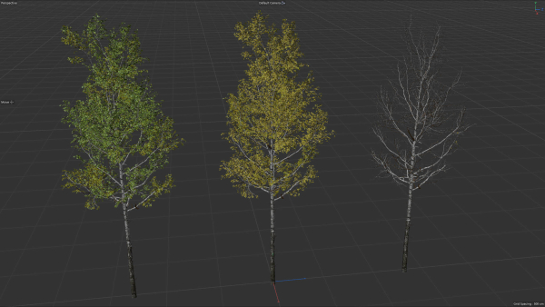 High quality Aspen tree 05